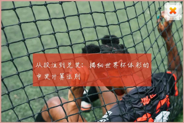 从投注到兑奖：揭秘世界杯体彩的中奖计算法则